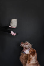 Load image into Gallery viewer, Liver Dog Treats