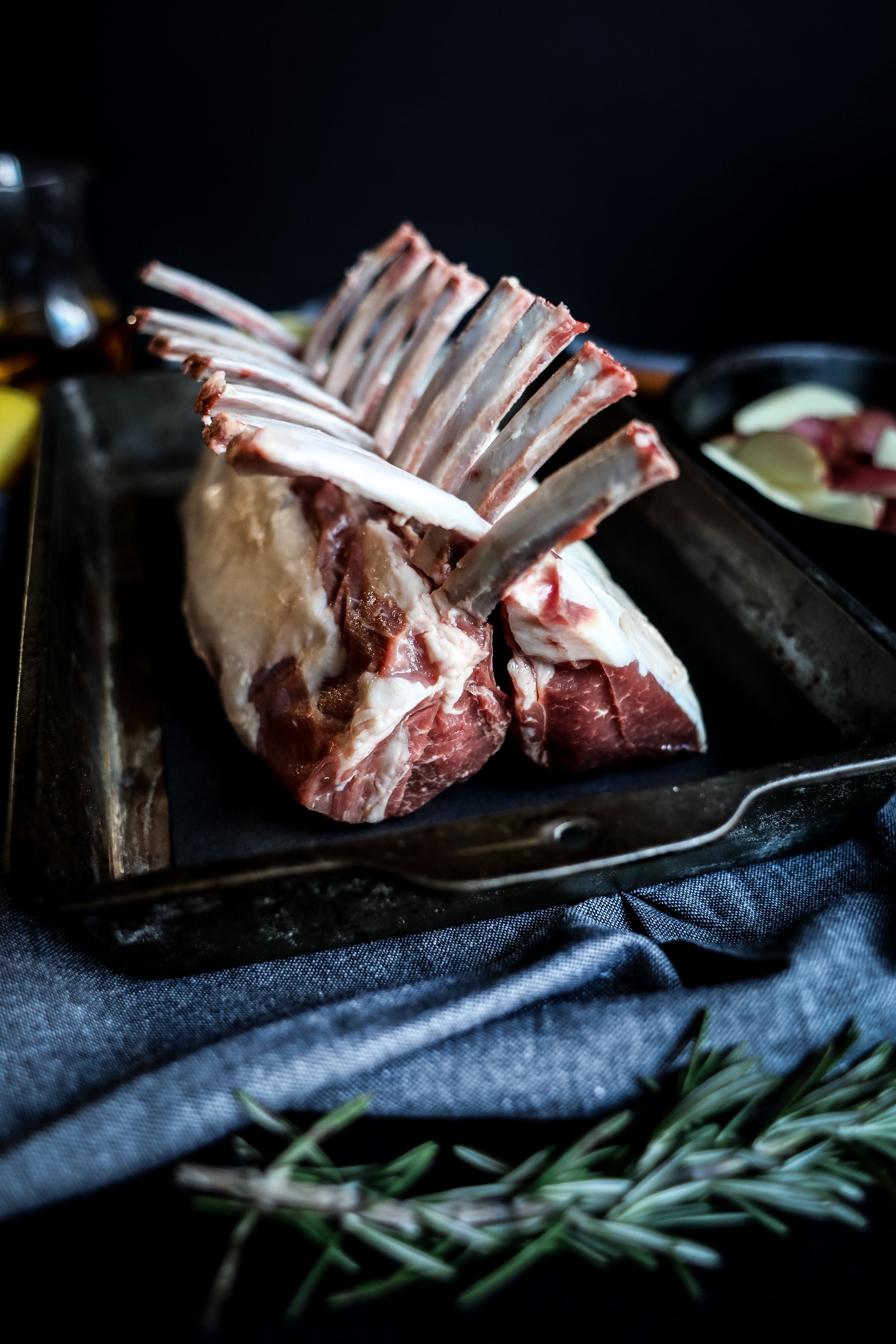 Lamb
