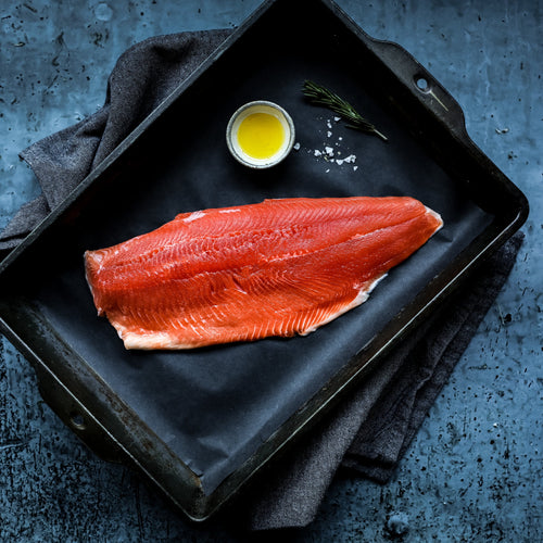 arctic char